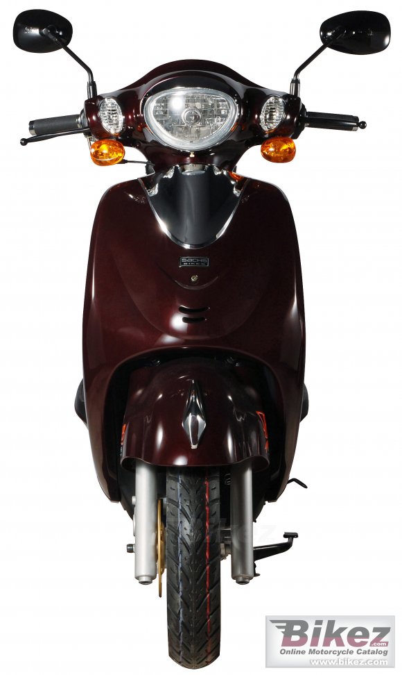 2008 sachs bee (funky) photo
